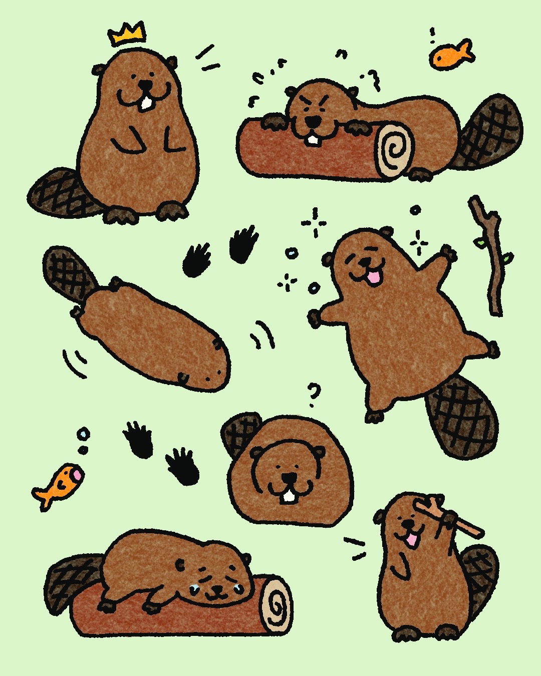 Beavers