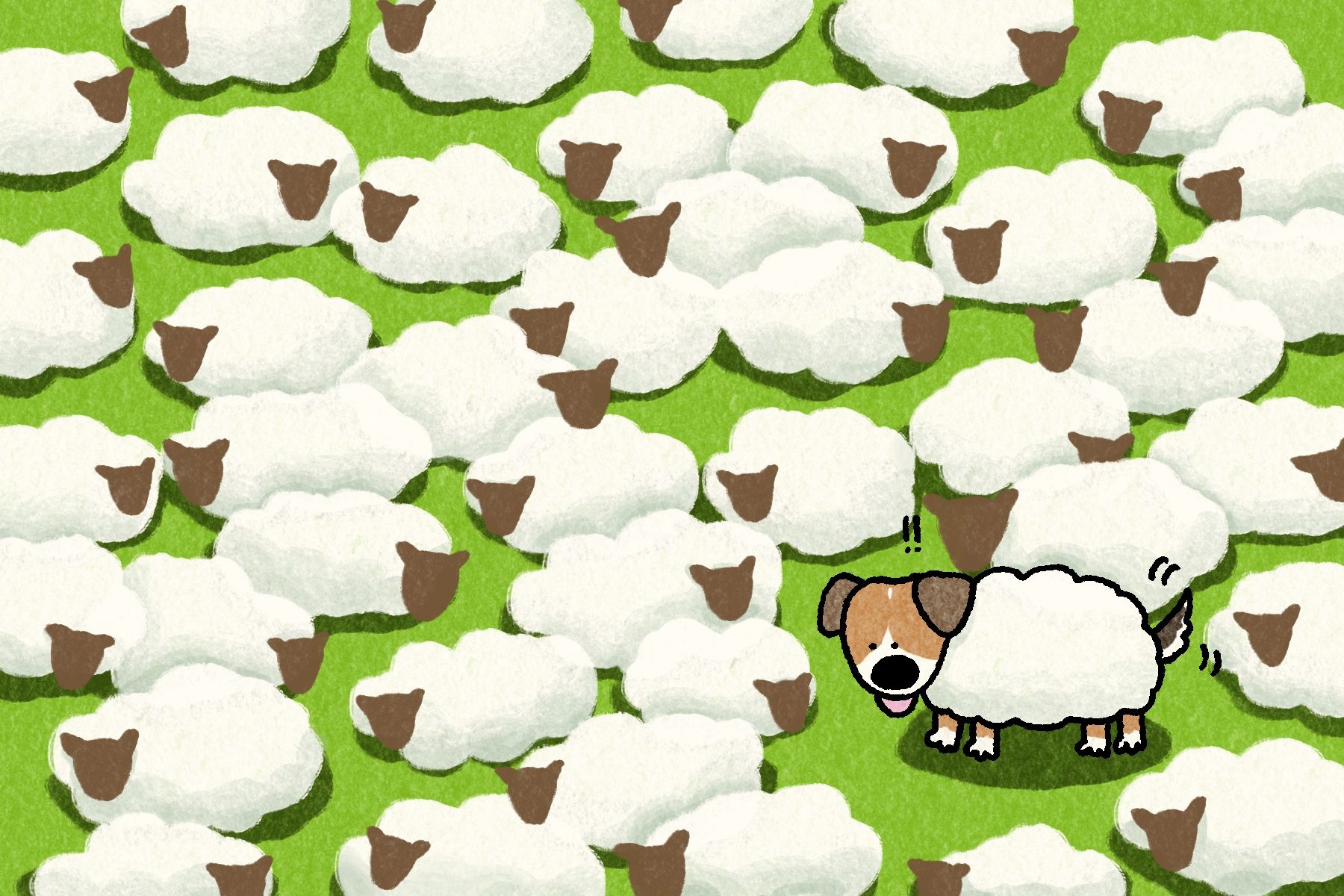 A dog hiding in a flock of sheep